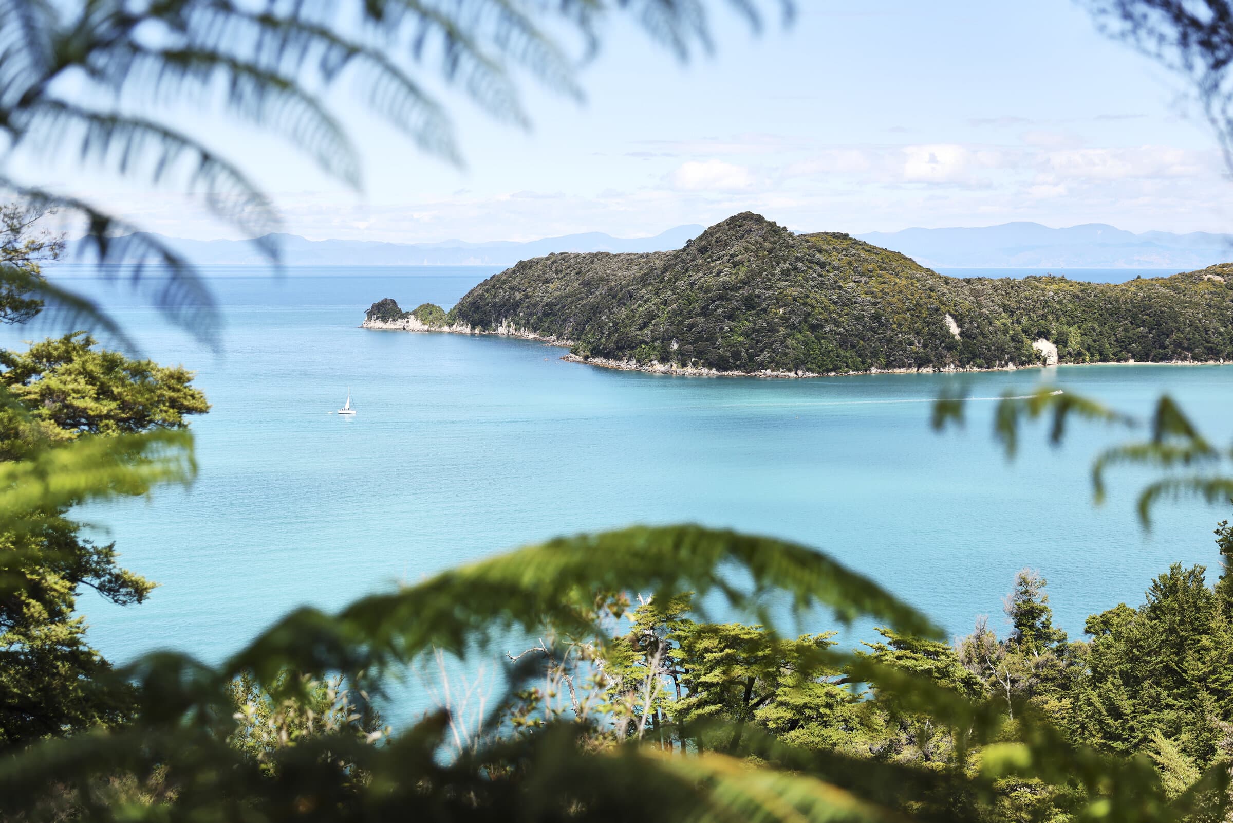 Turquoise bay viewed through fern fronds
