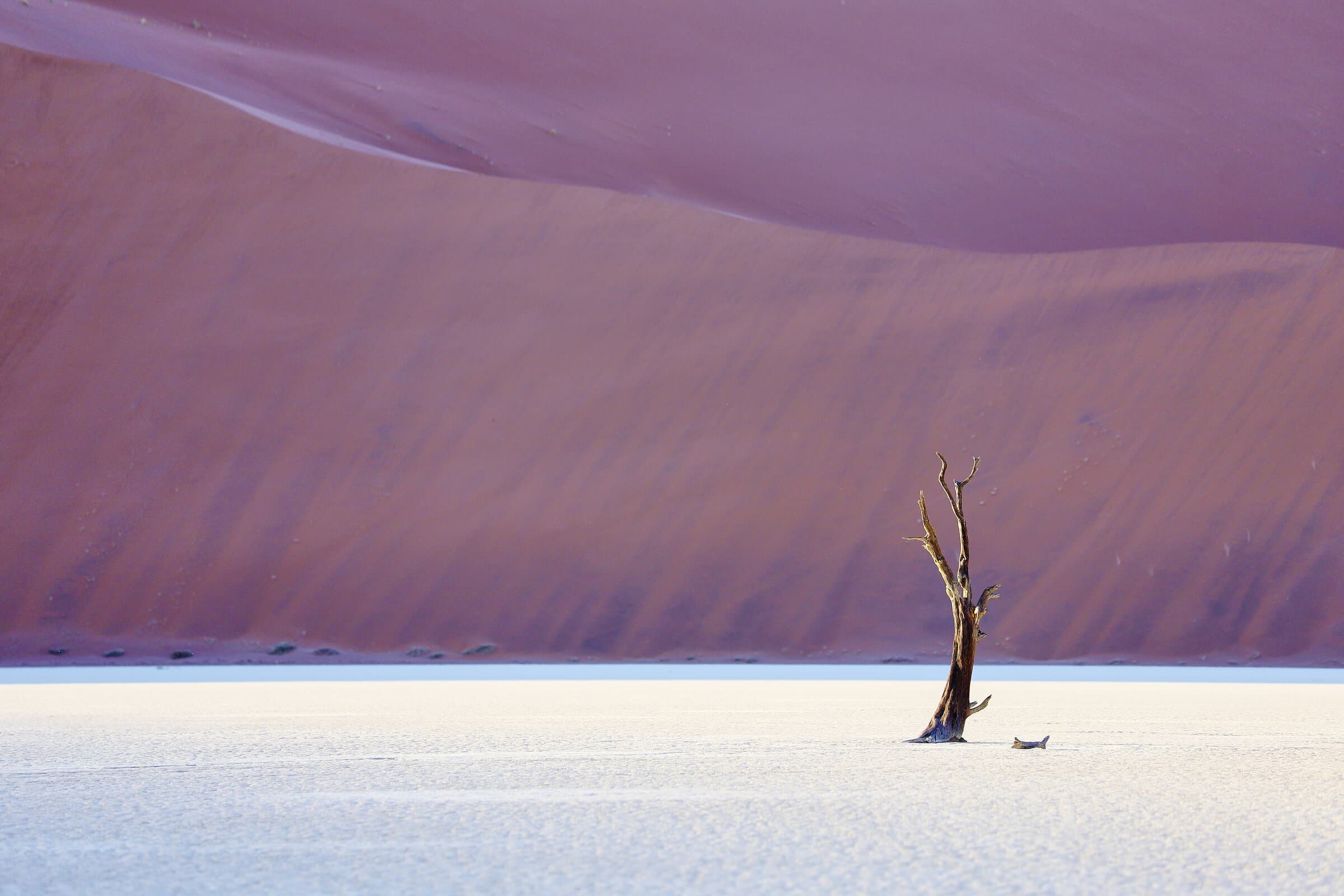 Dead tree against red dunes at Deadvlei